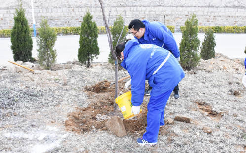 QQ浏览器截图20190415155245.jpg